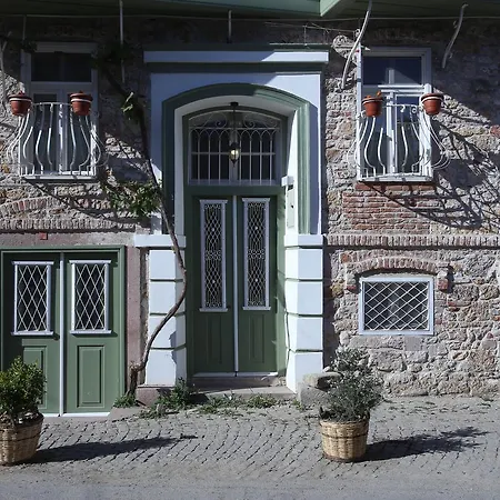 Podemos Ayvalik